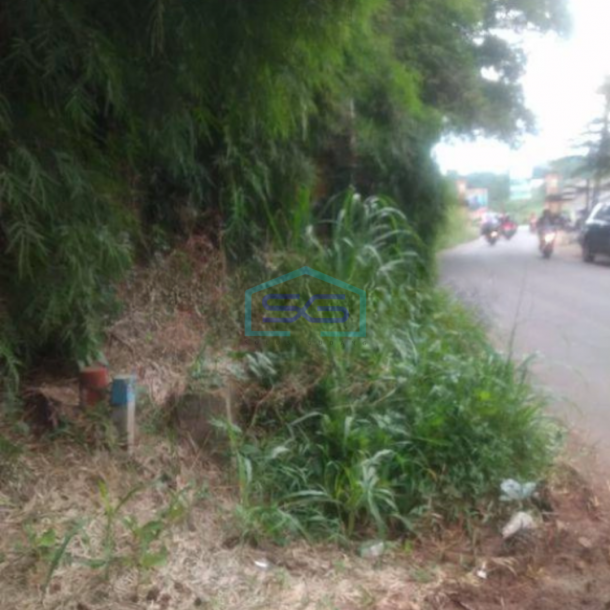 Dijual Tanah di Pinggir Jalan Raya Pengasinan Gunung Sindur Bogor LT 4894m2-3