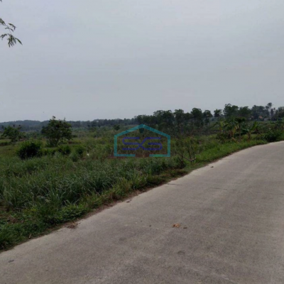 Dijual Tanah di Desa Cileles kecamatan Tigaraksa Tangerang Luas 70 Hektar