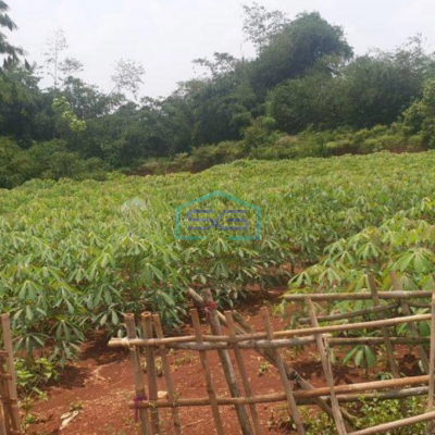 Dijual Tanah di Jampang Gunung Sindur Bogor LT 2890m2