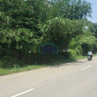 Dijual Tanah Di daerah Jasinga Bogor Letak Strategis Pinggir Jalan LT 14955m2