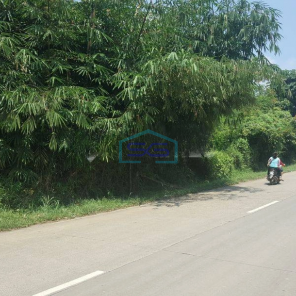Dijual Tanah Di daerah Jasinga Bogor Letak Strategis Pinggir Jalan LT 14955m2-3