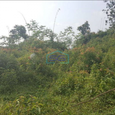 Dijual Tanah Di daerah Jasinga Bogor Letak Strategis Pinggir Jalan LT 14955m2