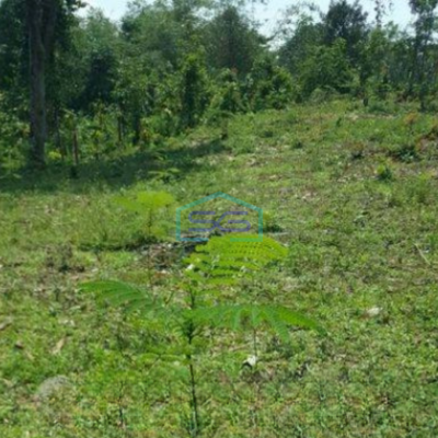 Dijual Tanah Di daerah Jasinga Bogor Letak Strategis Pinggir Jalan LT 14955m2