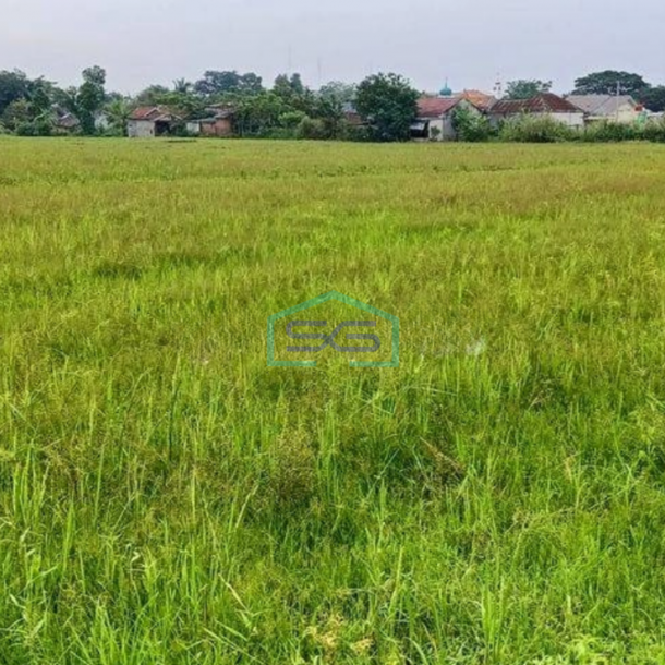 Dijual Tanah Luas 2,3 Hektar di Cibarusah Kabupaten Bekasi-1