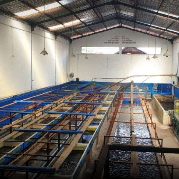 DIjual Gudang Siap Pakai Di Kalideres Jakarta Barat Luas Bangunan  645 m²-2