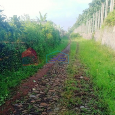 Dijual Tanah Subur Lahan Kuning Siap Bangun di Bumiaji Batu Malang LT 2500m2