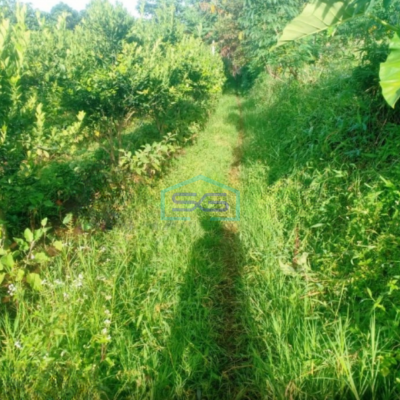 Dijual Tanah Subur Lahan Kuning Siap Bangun di Bumiaji Batu Malang LT 2500m2