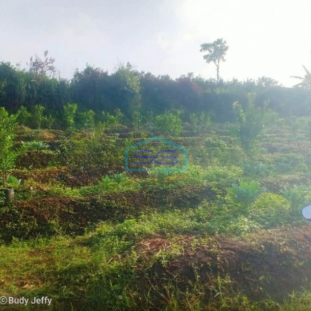 Dijual Tanah Subur Lahan Kuning Siap Bangun di Bumiaji Batu Malang LT 2500m2-1