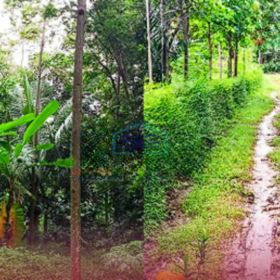 Dijual Tanah di Jombang Jawa Timur Luas 10130m2