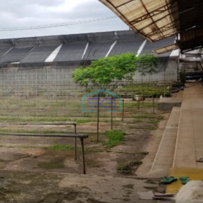 Dijual Tanah Luas 6800 m² Lokasi di Sidoarjo