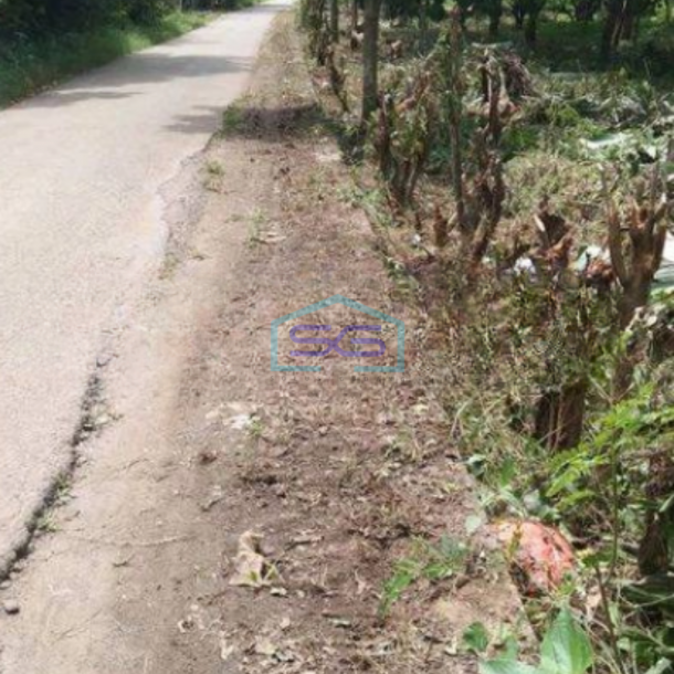 Dijual Tanah Kavling Murah Siap Bangun Di Curug Tangerang LT 4906m2-2