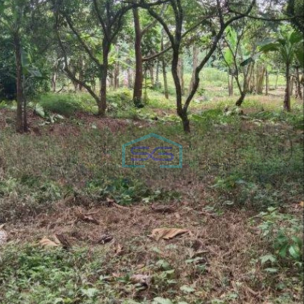 Dijual Tanah Kavling Murah Siap Bangun Di Curug Tangerang LT 4906m2-1