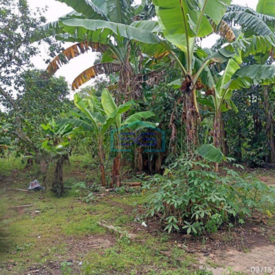 Dijual Tanah Kavling Murah Siap Bangun Di Pagedangan Tangerang LT 3200m2