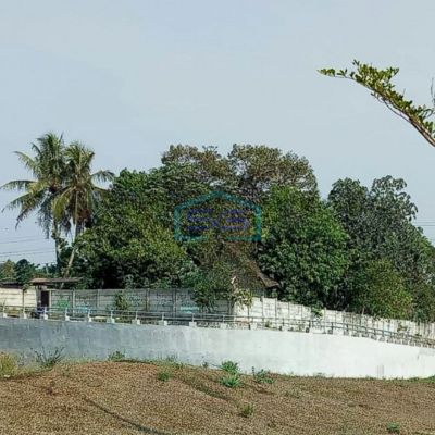 Dijual Tanah Kavling Komersil Dekat Bsd Pinggir Jalan Raya Kadusirung Tangerang Luas 2000m2