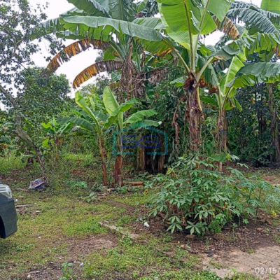 Dijual Tanah Kavling Murah Siap Bangun Di Pagedangan Tangerang Luas 3200m2