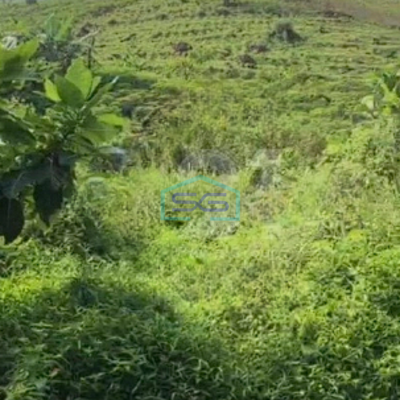 Dijual Tanah Lokasi di Halambang Sentul Bogor Luas 100Ha