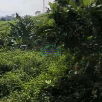 Dijual Tanah Lokasi di Halambang Sentul Bogor Luas 100Ha