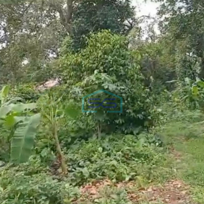 Dijual Tanah Komersil di Lenteng Agung Jakarta Selatan LT 11425m2