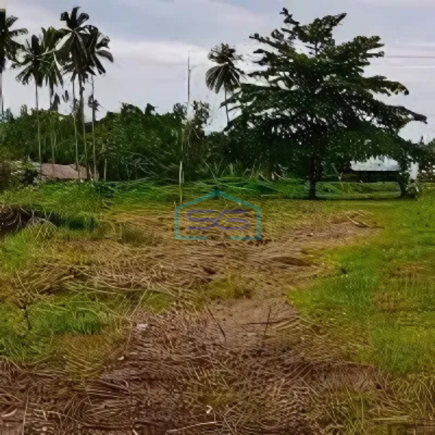 Dijual Tanah Luas 3,4Ha Di Pinggir Jalan Raya Sawangan Manado Minahasa-1