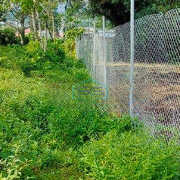 Dijual Tanah Luas 3,4Ha Di Pinggir Jalan Raya Sawangan Manado Minahasa-2