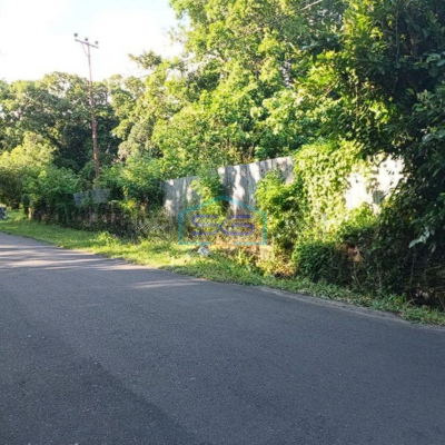 Dijual Tanah di Jl Manado Bitung Desa Treman Dekat Gudang Unilever Minahasa Utara