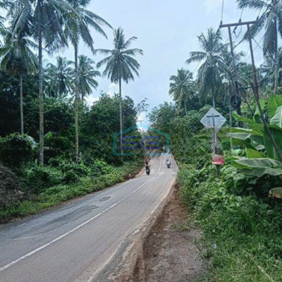 Dijual Tanah Luas 5Ha di Manado Cocok Buat Gudang Kantor