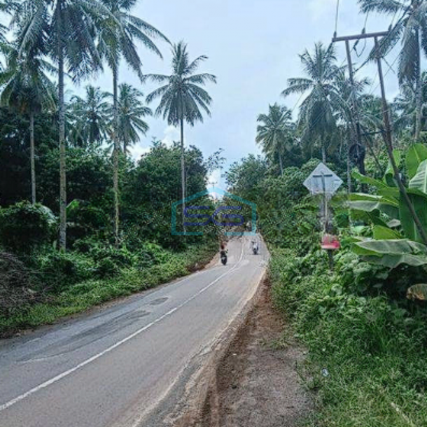 Dijual Tanah Luas 5Ha di Manado Cocok Buat Gudang Kantor-2