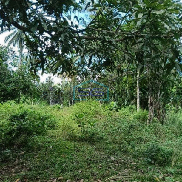 Dijual Tanah Luas 5Ha di Manado Cocok Buat Gudang Kantor-1