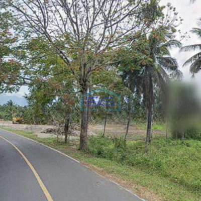 Dijual Tanah 2 Ha Di Kema Minahasa Utara Cocok Buat Industri Dan Gudang-2