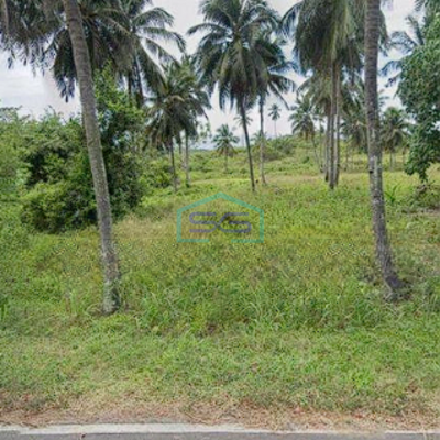 Dijual Tanah 2 Ha Di Kema Minahasa Utara Cocok Buat Industri Dan Gudang