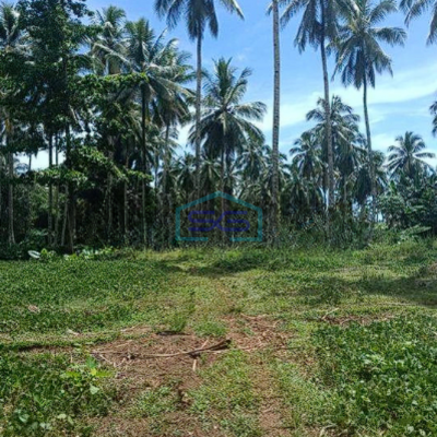 Dijual Tanah Luas 8 Ha Di Wori Minahasa Utara Dekat Perempatan Pandu Cocok Buat Investasi