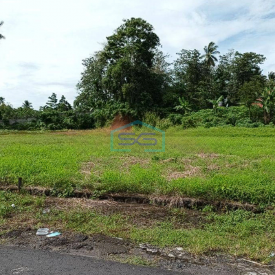 Dijual Luas Tanah 3000m2 di Jalan aa Aramis Manado