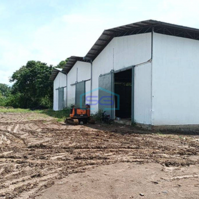 Disewakan Gudang LB 850m2 Di Kairagi Kota Manado Buat Ekspedisi Distributor