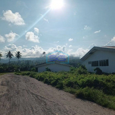 Dijual Tanah 3,8h Di Jl Raya Kauditan Minahasa Utara Kema Buat Industri Dan Gudang