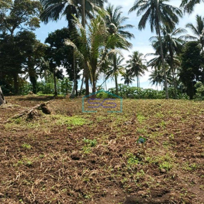 Dijual Tanah Luas 11 Ha Jl Raya Manado Bitung Desa Kaima Pas Buat Pergudangan