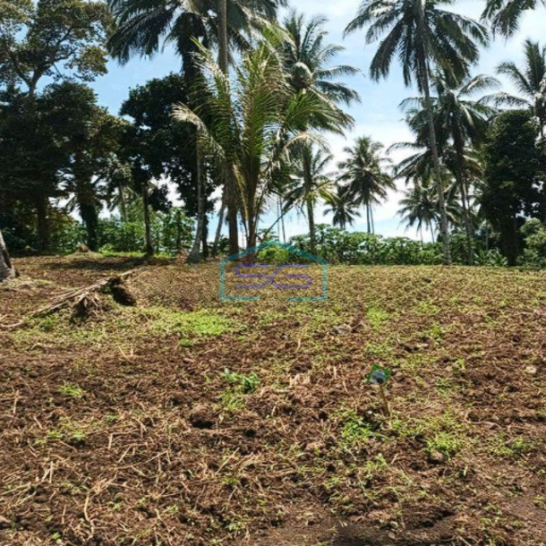 Dijual Tanah Luas 11 Ha Jl Raya Manado Bitung Desa Kaima Pas Buat Pergudangan-1