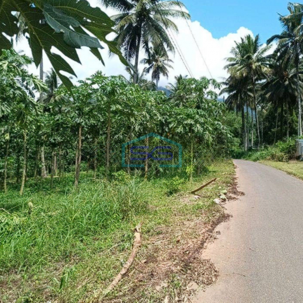 Dijual Tanah Luas 11 Ha Jl Raya Manado Bitung Desa Kaima Pas Buat Pergudangan-2