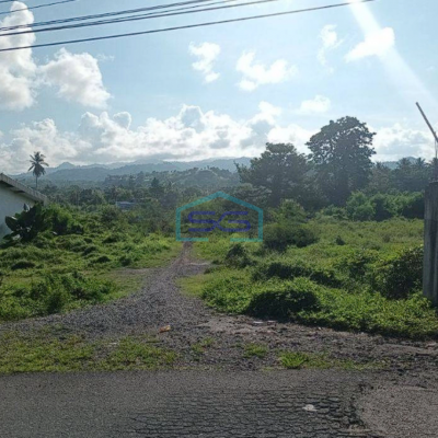 Dijual Tanah Luas 3,8h Di Jl Raya Kauditan Kema Buat Industri Dan Gudang Daerah Minahasa Utara-2