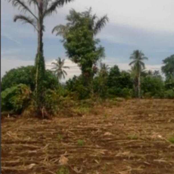 Dijual Tanah 3,4j Di Pinggir Jalan Raya Sawangan Manado DI Tombulu, Minahasa Luas Tanah (PxL)  34000 m²-5