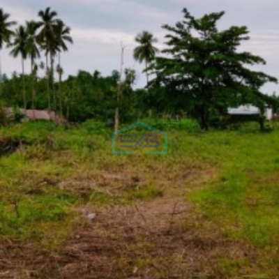 Dijual Tanah 3,4j Di Pinggir Jalan Raya Sawangan Manado DI Tombulu, Minahasa Luas Tanah (PxL)  34000 m²