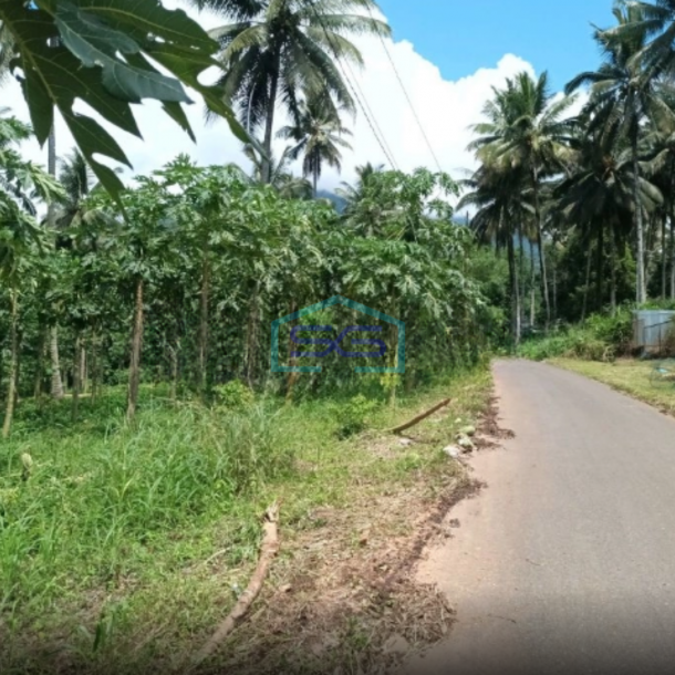 Dijual Tanah Di Jl Raya Manado Bitung Desa Kaima Pas Buat Pergudangan Airmadidi, Minahasa Utara Luas Tanah 110000 m²-4