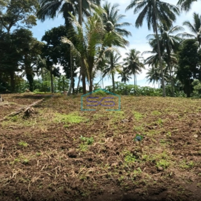 Dijual Tanah Di Jl Raya Manado Bitung Desa Kaima Pas Buat Pergudangan Airmadidi, Minahasa Utara Luas Tanah 110000 m²