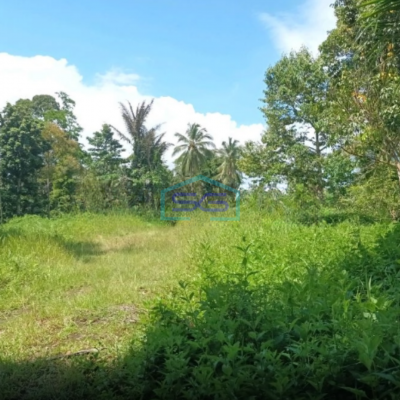 Dijual Tanah Di Jl Raya Manado Bitung Desa Kaima Pas Buat Pergudangan Airmadidi, Minahasa Utara Luas Tanah 110000 m²