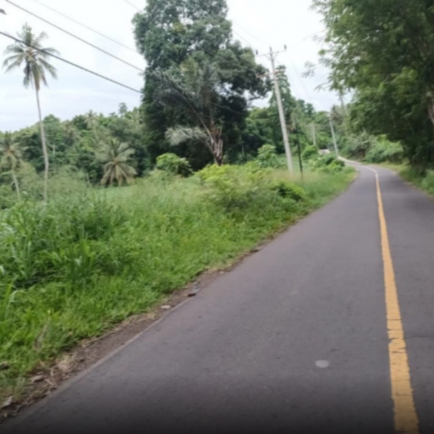 Dijual Tanah 2~6 H Di Jl Girian Kema Bitung Kawasan Industri Bitung Selatan, Bitung Luas Tanah (PxL)  20000 m²-4