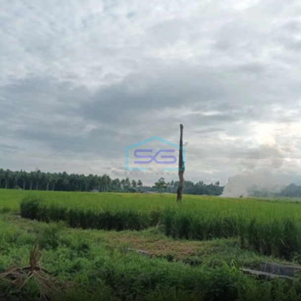 Dijual Tanah 2~6 H Di Jl Girian Kema Bitung Kawasan Industri Bitung Selatan, Bitung Luas Tanah (PxL)  20000 m²-1