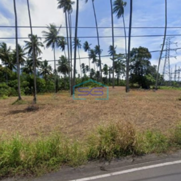 Dijual Tanah 2,5 H Dekat PLN Tanjung Merah Bitung Cocok Buat Gudang Matuari, Bitung Luas Tanah (PxL)  25000 m²-3