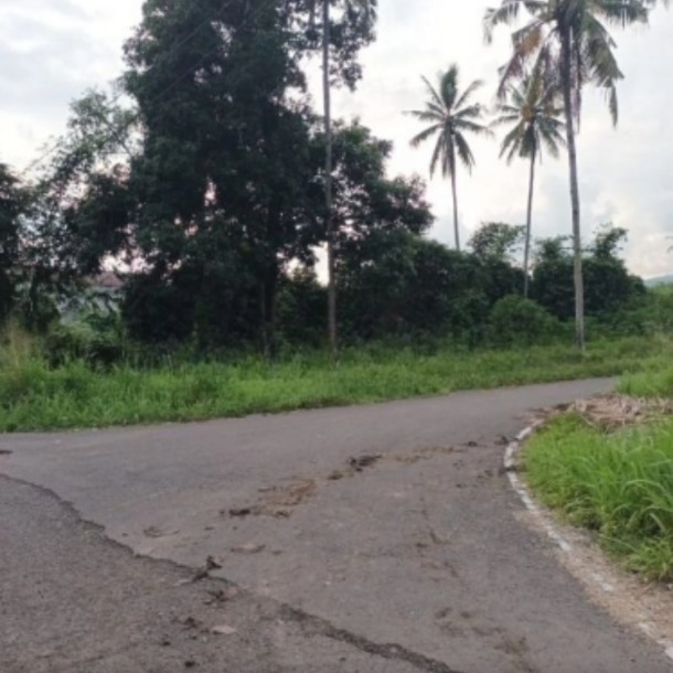 Dijual Tanah 2,5 H Dekat PLN Tanjung Merah Bitung Cocok Buat Gudang Matuari, Bitung Luas Tanah (PxL)  25000 m²-2