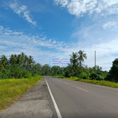 Dijual Tanah2~10h Ring Road 3 Di Malalayang, Manado Luas Tanah 50000 m²