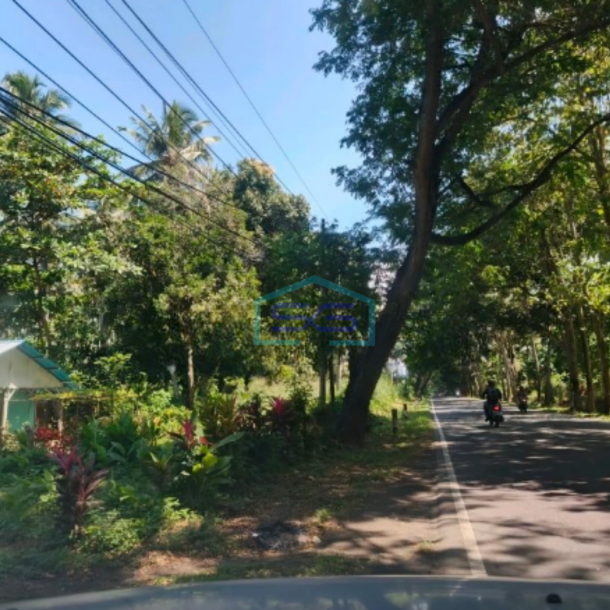 Dijual Tanah 1,1h Jl 46 Kota Bitung Dekat Pelabuhan Pas Buat Gudang Madidir, Bitung Luas Tanah (PxL)  11000 m-2