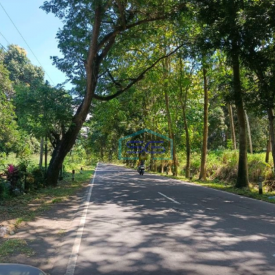 Dijual Tanah 1,1h Jl 46 Kota Bitung Dekat Pelabuhan Pas Buat Gudang Madidir, Bitung Luas Tanah (PxL)  11000 m